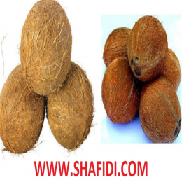 SBJEI-HUSK COCONUT